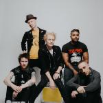 artist image Sum 41 The Hell Song Does This Look Infected?