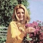 artist image Semiramis Pekkan, Adnan Şenses Sevgilim der misin? Çöpçatan / Sevgilim der misin? - Single