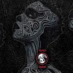 artist image DeMajor feat. Lizwi Traveller Traveller (feat. Lizwi) - Single