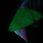 artist image Teriyaki Boyz Tokyo Drift (Fast & Furious) The Fast and the Furious: Tokyo Drift - Single