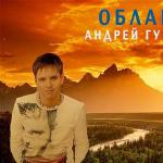 artist image Андрей Губин Птица Только Ты