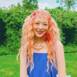 artist image Sulli Dorothy (도로시) Goblin - Single
