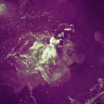 artist image Bellestar, Sixth Finger West End Girls West End Girls - Single