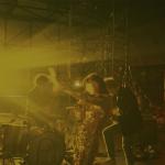 artist image Of Monsters and Men Lakehouse My Head Is an Animal