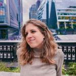 artist image Blonde Maze A Break In Continuity Something Familiar