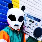 artist image Pink Panda & Sunset Strippers Falling Stars (2022) (Original Mix) Falling Stars (2022) - Single