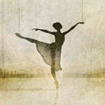 artist image Really Slow Motion Remembrance Elevation