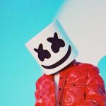 artist image Marshmello Dreaming (feat. P!nk & Sting) TRUSTFALL (Tour Deluxe Edition)