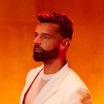 artist image Ricky Martin She Bangs (English Version) 