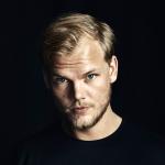 artist image Avicii Levels (Skrillex Remix) Levels (Remixes)