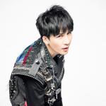 artist image 大张伟 阳光彩虹小白马 