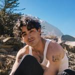artist image Joe Jonas Honey Blonde 