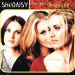 album image Still Holding Out For You The Whole Shebang