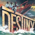 album image Blame It on the Boogie Destiny