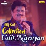 album image Dil Ne Yeh Kaha Hain Dil Se (From "Dhadkan") My Best Collection - Udit Narayan