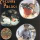 Caesars - Jerk It Out remix