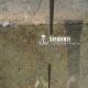 Disidente - Gris