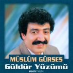 album image Sevmek Ne Güzel Güldür Yüzümü