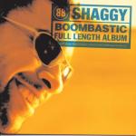 album image In The Summertime Boombastic