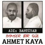 album image yollarına baka baka İyimser Bir Gül