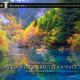 Paul Wallen feat. Gigi Nally - Umbrella(Remix)