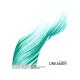 Sako Isoyan, Irina Makosh - Dreamer