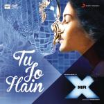 album image Tu Jo Hain Tu Jo Hain (From