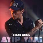 album image Vazgeçilmezim (En Baştan) Ayıp Yani - Single