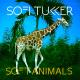 Sofi Tukker - ✌ Drinkee ✌ (KING ASLVN edit)