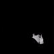 Bob Moses - Before I Fall