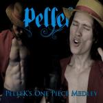 album image Bon Voyage! (One Piece Opening 4) PelleK's One Piece Medley