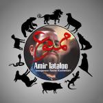 album image Mamnoo Mamnoo