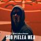 ЛУЧШИЙ РИНГТОН - Carla's Dreams - Sub Pielea Mea (Midi Culture Remix Radio Edit)