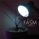 Fasm - Wego