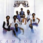 album image Shake Your Pants Cameosis
