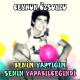 Ceyhun Özsoylu - Hissediyorum Bir Sorun Var