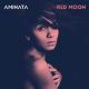 Aminata - Your Arms