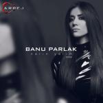 album image Narin Yarim (Remix) Narin Yarim (Remix) - Single