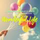 Stefan Gruenwald, Lookee feat. Pearl Andersson - Wonderful Life
