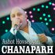 Ashot Hovsepyan - Bacvele Garun-Msho Aghjik