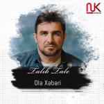 album image Talib Tale - Ola xeberi YEP YENI 2012 REMIX(DJ RASIM) Ola Xəbəri - Single