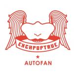 album image Discoteca (Radio Edit) Autofan