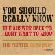 The Pirates feat. Enya, Shola Ama, Naila Boss, Ishani - You Should Really Know