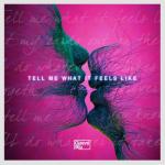 album image What It Feels Like Tell Me What It Feels Like (feat. Mingue) - Single