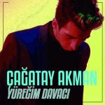album image Yuregim Davaci (BRB) Yüreğim Davacı - Single