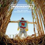 album image These Days (feat. Jess Glynne, Macklemore & Dan Caplen) These Days (feat. Jess Glynne, Macklemore & Dan Caplen)
