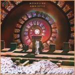 album image The Infinite Path Amniotic (Deluxe Version)