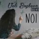 Vali Boghean - Noi