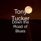 Tony Tucker - The Old Man The Strat and The Swamp
