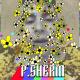 P. Sherm - Gamez